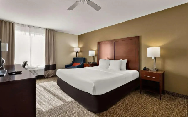 Comfort Inn & Suites Sequoia/Kings Canyon