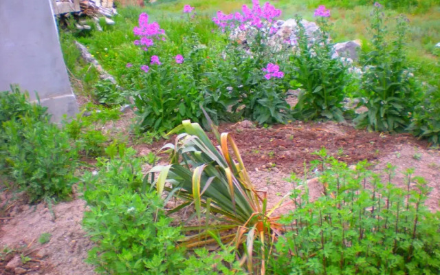 Sudak Guest House