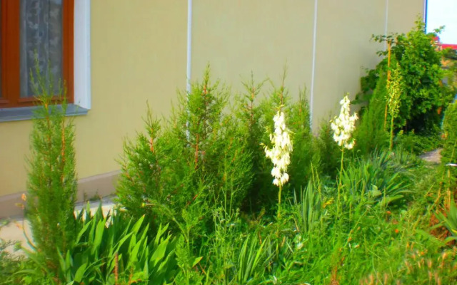 Sudak Guest House