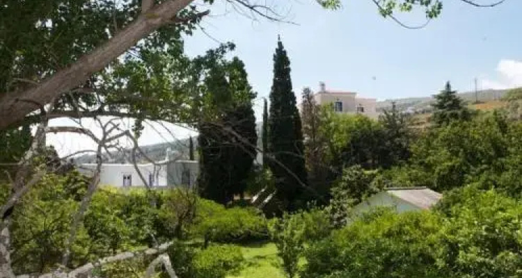 Saint Louis Suites