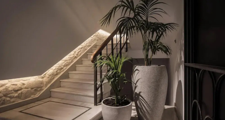 Vegga Suites