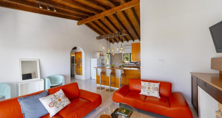 Ayia Napa Ammos Sea View Villa