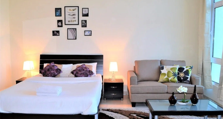 Mcln Spacious Furnished Studio