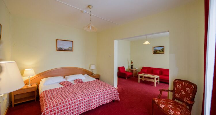 Hotel Belvedere Predeal