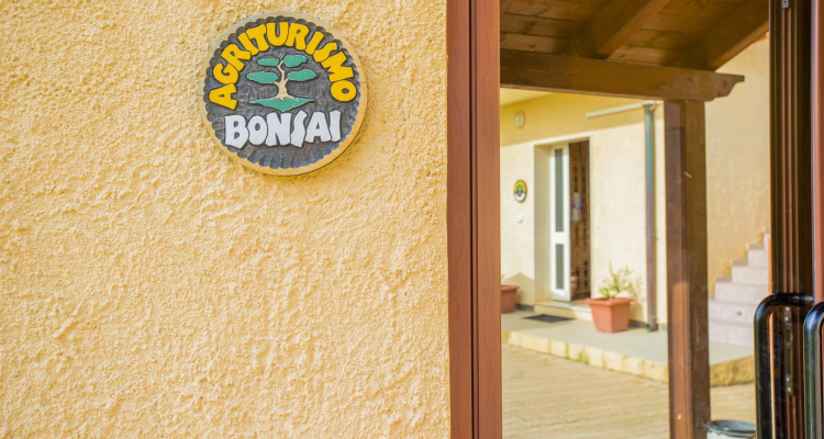 Bonsai B&B Alghero
