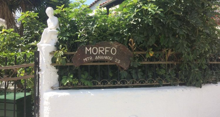 Pettite Morfo