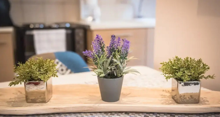 Stylish Acropolis Apartment by Cloudkeys