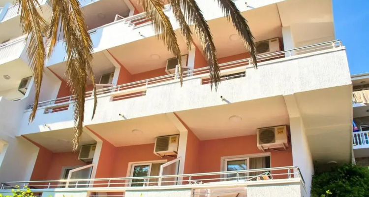 Palma Jaz