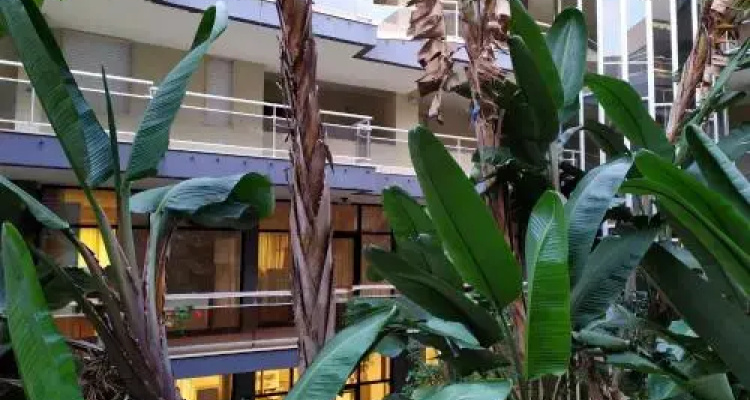 Casa Felicidad Alguer