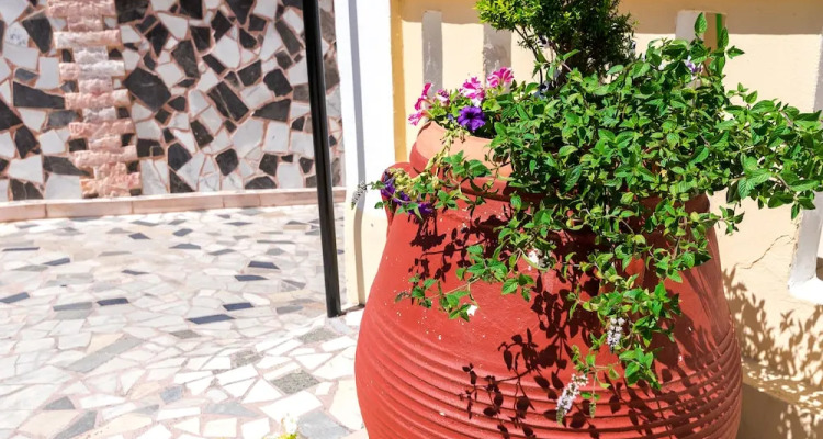 Erato Hotel Apartments