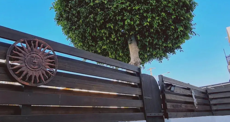 72 An Stay Napa Velvet