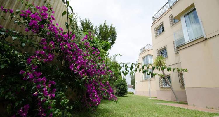 Apartaments Els Llorers
