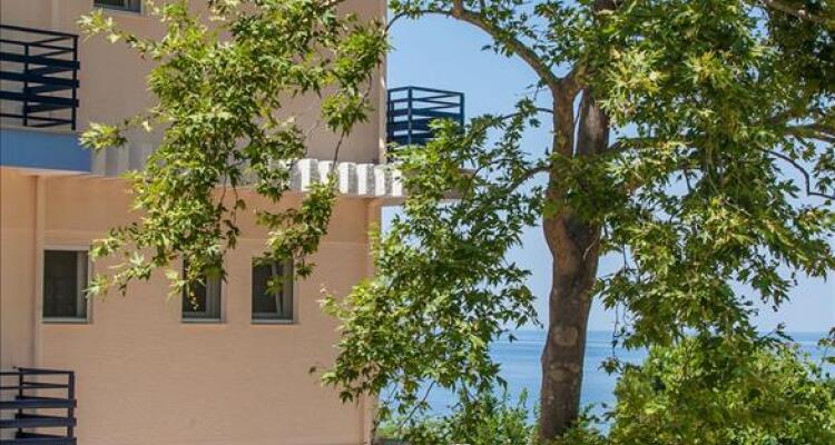 12 Olympian Gods Hotel