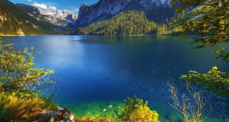 Apartment Almroserl Edelweiss