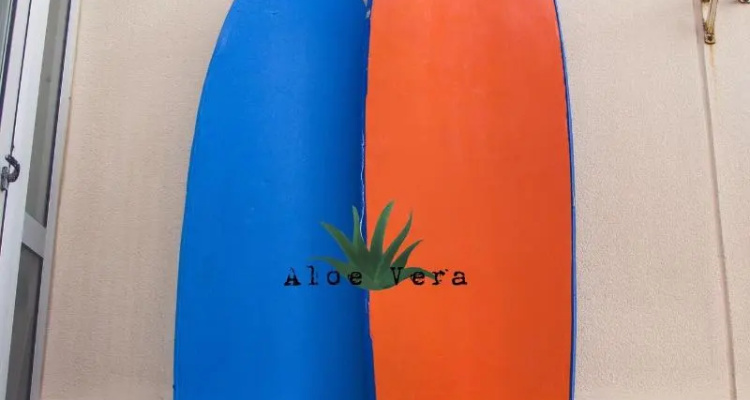 Aloe Vera Shared House - Hostel, Tenerife, Spain
