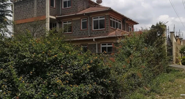 Nyayo homecourts