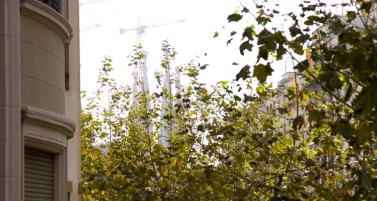 Avinguda Gaudi Barcelonastuff Apartments