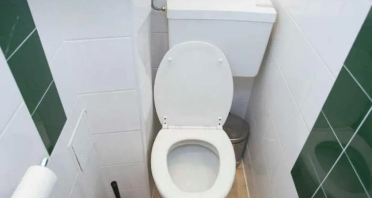 Cosy Flat Near Schonbrunn