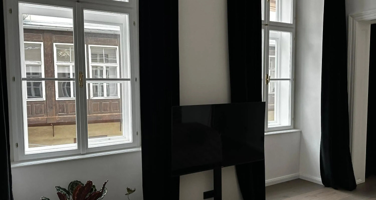 City Apartment Downtown Vienna