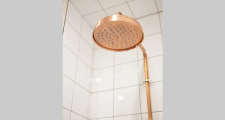 Zen Apartment Calea Victoriei