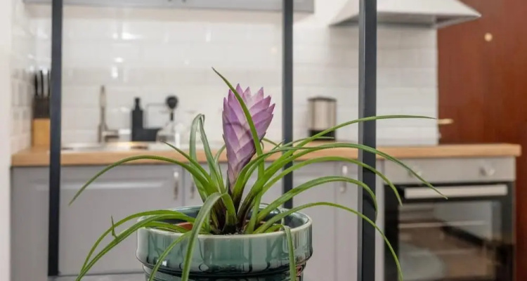 Studio Apartment Stadium Zagreb