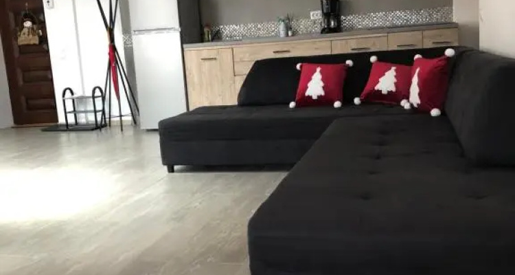 Apartament Andy Busteni 30 M de Partie
