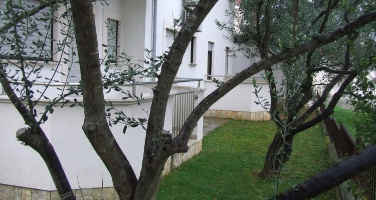 Apartmani Lozic