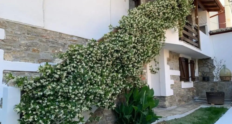 Snug Apartment In Agios Nikolaos With Garden