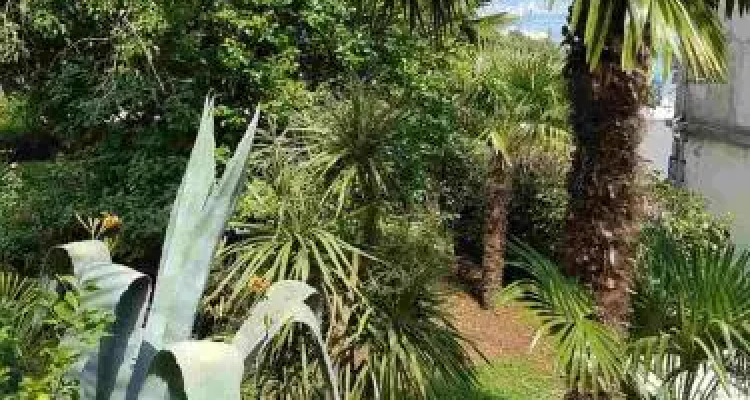 Palmgarden Apartments Opatija-i?i?i