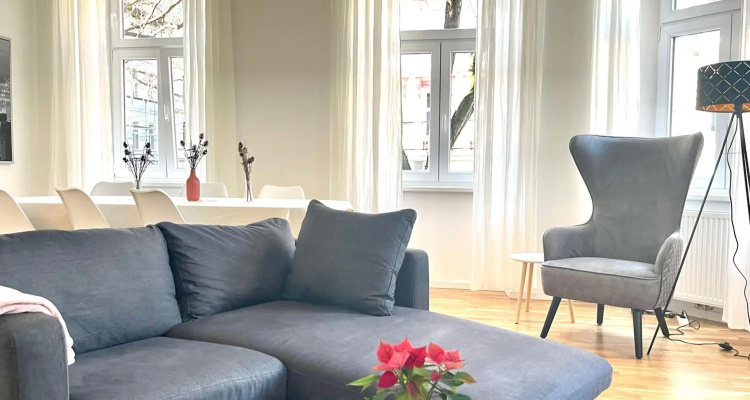Big Apartment Vienna