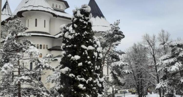 Apartament Ultra Central Marly Gura Humorului