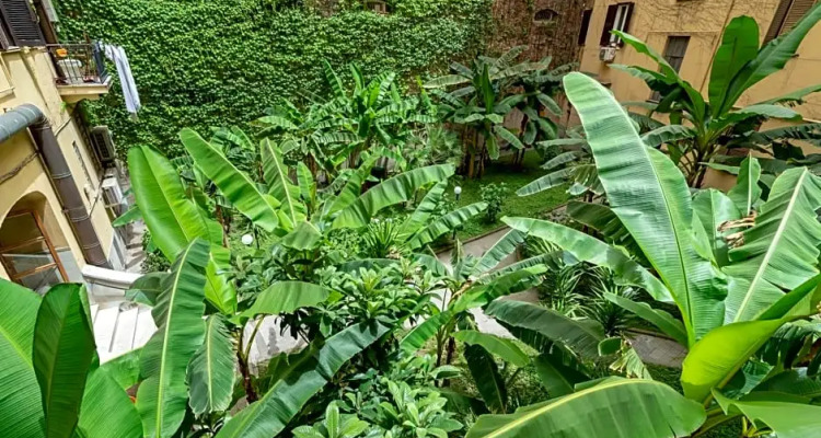 Leo's Colosseum Private Apartments