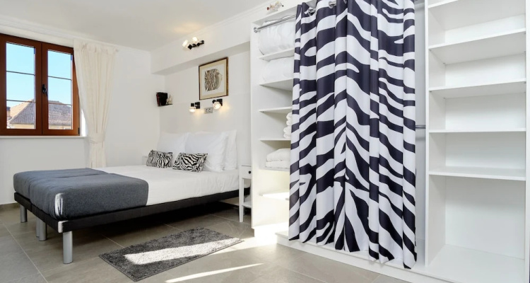 Zebra