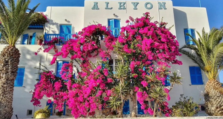 Alkyon Syros