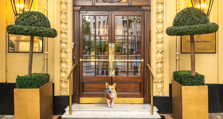 The Waldorf Hilton, London — Hilton hotel