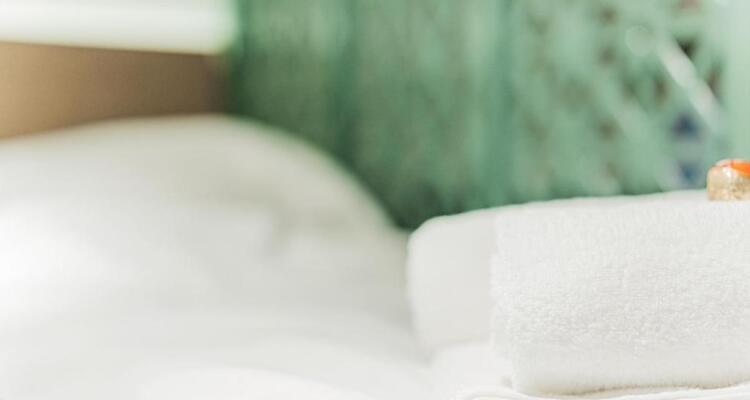 Zeus Design Mini Apartment Erlach #10