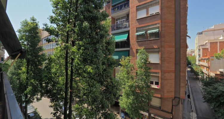 The White Flats Les Corts