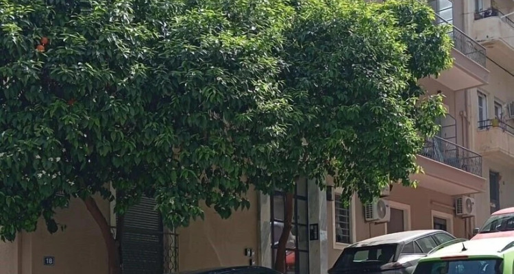 Elvis 2-bedroom Apartment In Athens