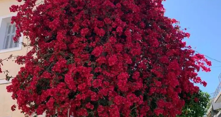 Comfortable Living In Athens 2br Apartment