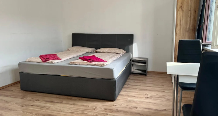Spacious 4br Stay Vienna For Families