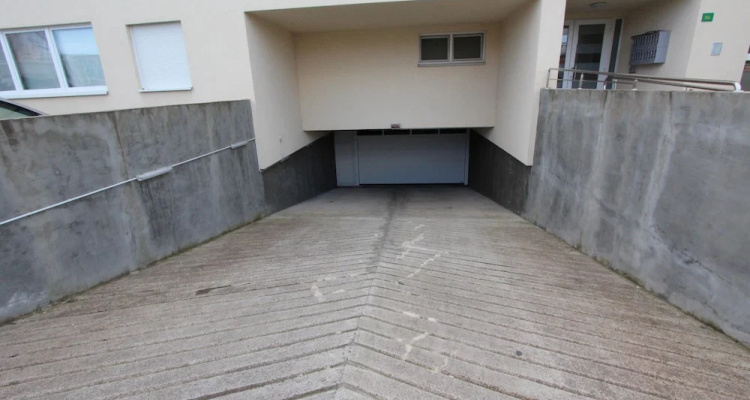 Apartment Mladen