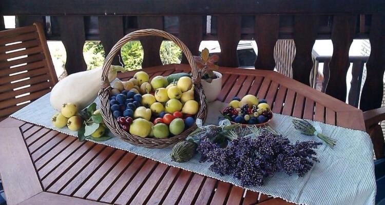 Cro Behar 1 Apartment