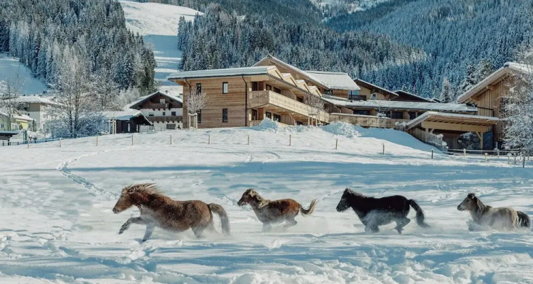 Mariengut Aparthotel Kramer