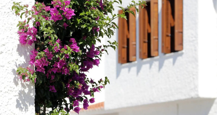 Skopelos Village Hotel