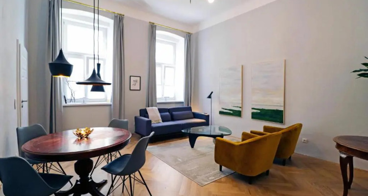 Center Apt In Best Area Near Park & Danube 20'to Airport