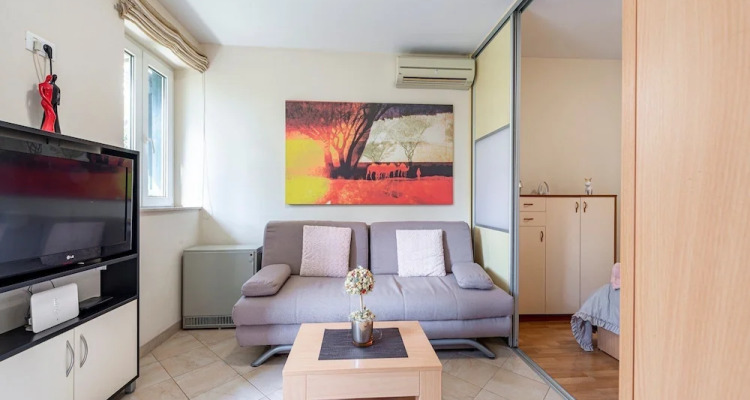 Green Terrace Apartment I