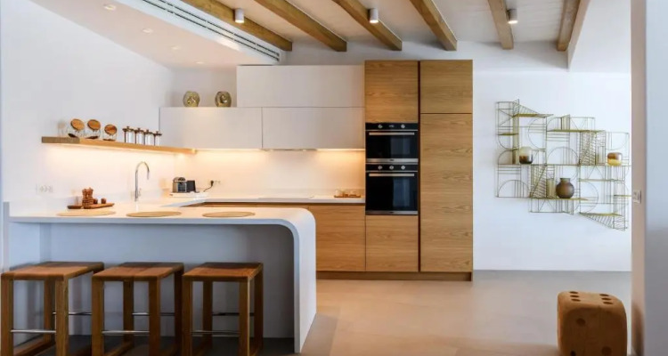 Splendid Mykonos Luxury Villas Suites