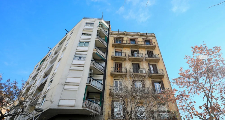 Bbarcelona Sagrada Familia Garden