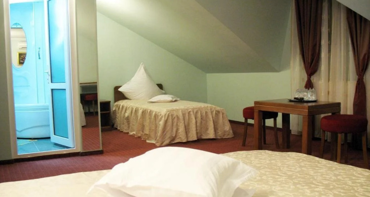 Hotel Casa de Piatra