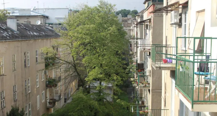 Apartment Morena